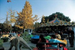 安裝兒童游樂設備注意事項